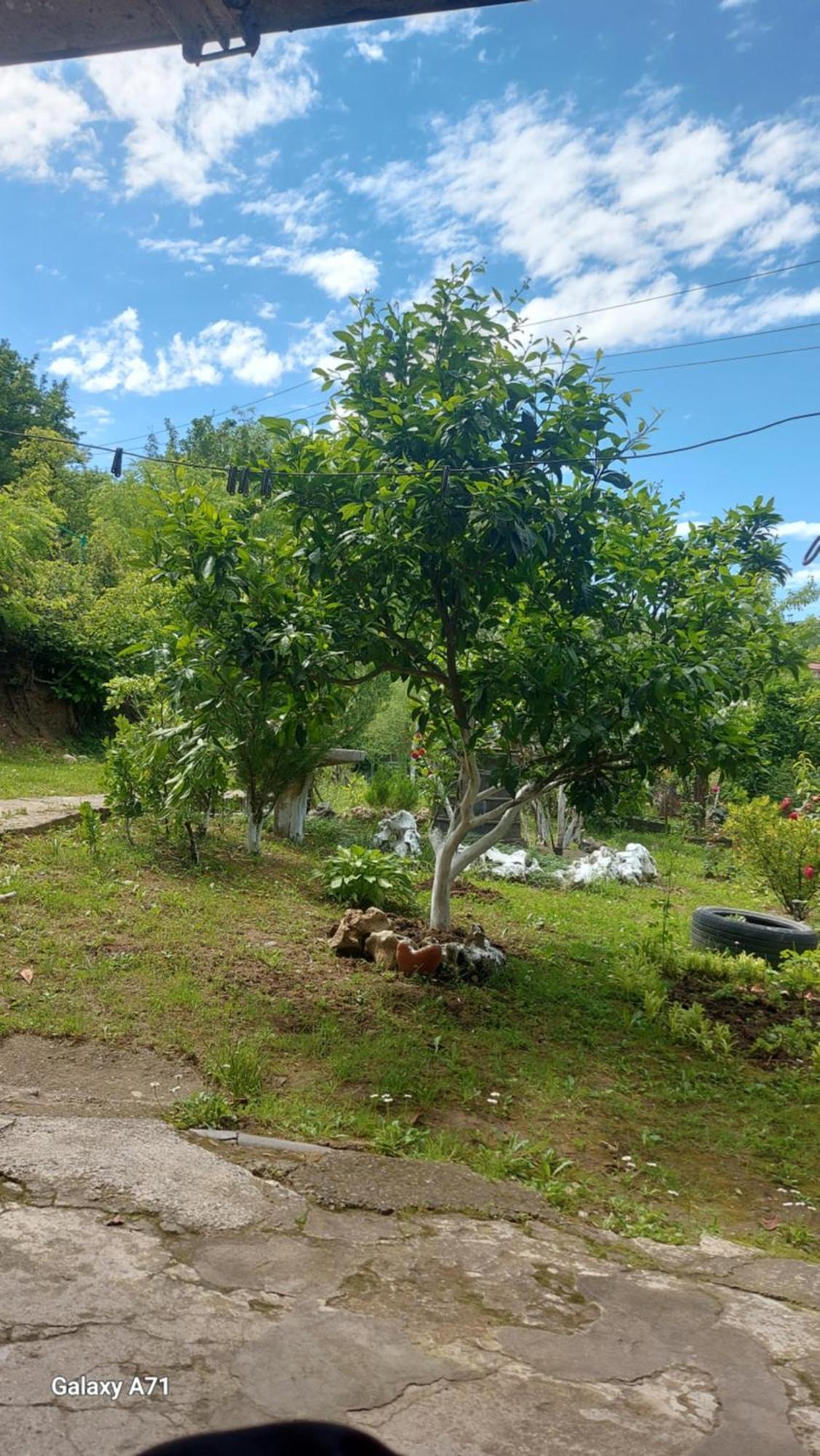 Mero House Кутаиси Екстериор снимка
