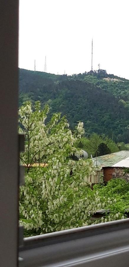 Mero House Кутаиси Екстериор снимка